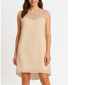 Francescas Collection Ivory and gold sheer panel dress‎ sz SM tag price $48 NWT